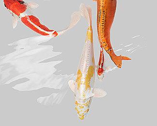 原PS4独占游戏《心之所向》宣布登陆PC 2022年发售